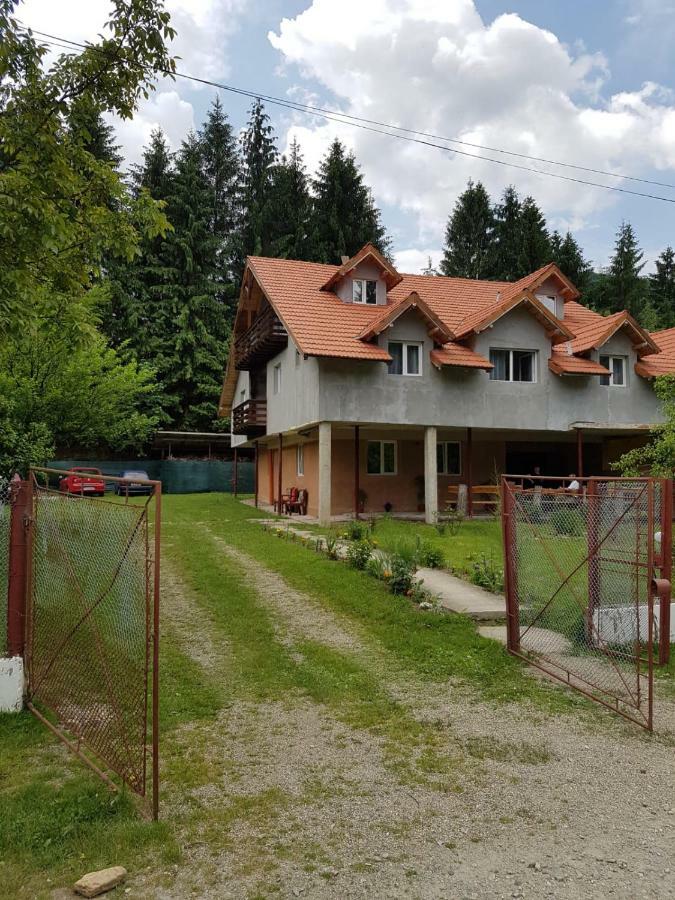 Cabana Merisor Hotel Poiana Mărului Exterior foto